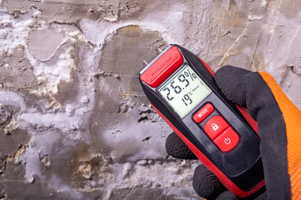 Mold Removal Process in King City, CA