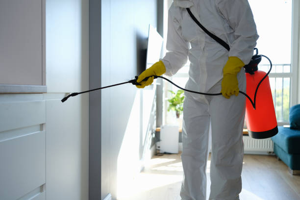 Best Commercial Mold Removal  in King City, CA