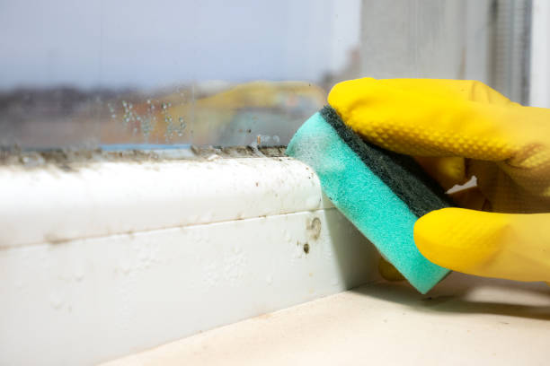 Best Crawl Space Mold Removal  in King City, CA