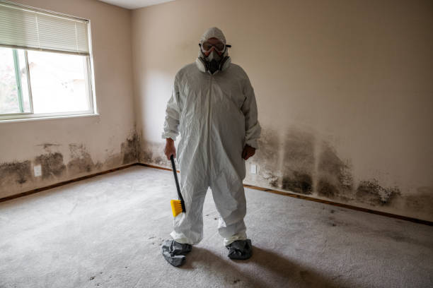 Best Residential Mold Removal  in King City, CA
